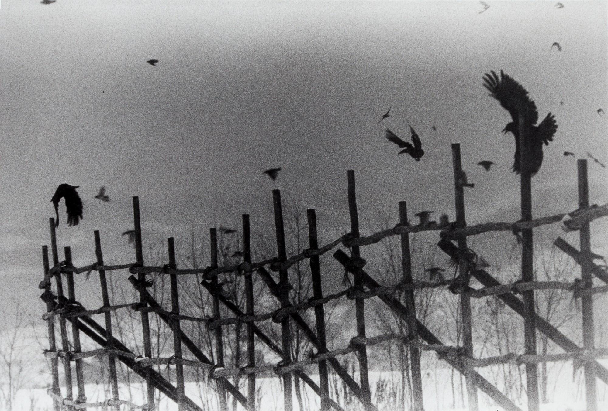 Masahisa Fukase - \'Nayoro\', 1977