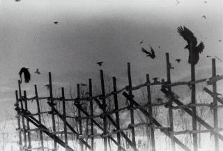 Masahisa Fukase - \'Nayoro\', 1977