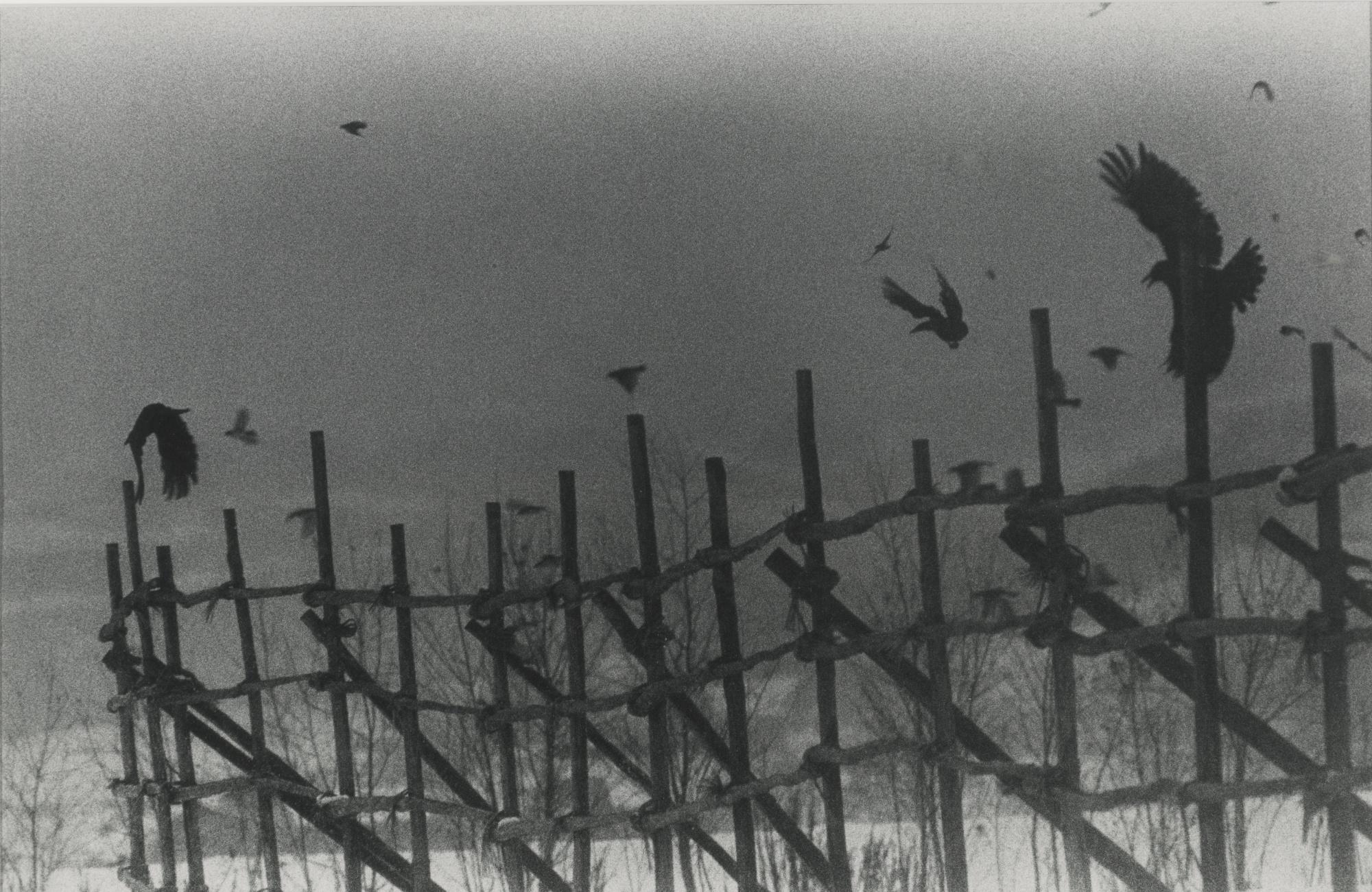 Masahisa Fukase - \'Nayoro\' (From The Solitude Of Ravens)