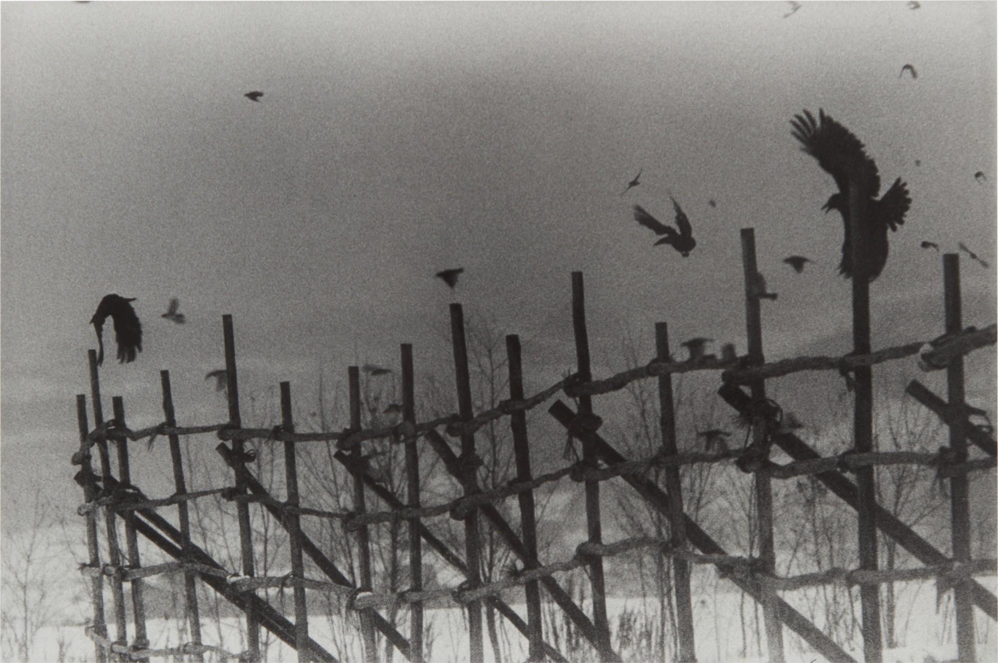 Masahisa Fukase - \'Nayoro\' (from \'The Solitude of Ravens\')