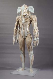 Masao Kinoshita - Ganesha