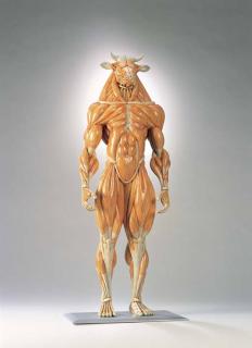 Masao Kinoshita - Minotaur