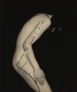 Masao Yamamoto - \'Nakazora #1160\'