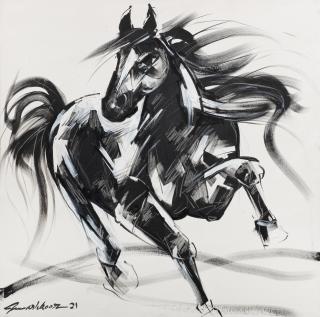 Mashkoor Raza - Mashkoor Raza (Pakistani, B. 1950)