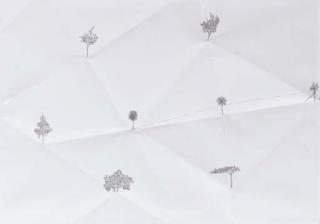 Massimo Bartolini - Alberelli