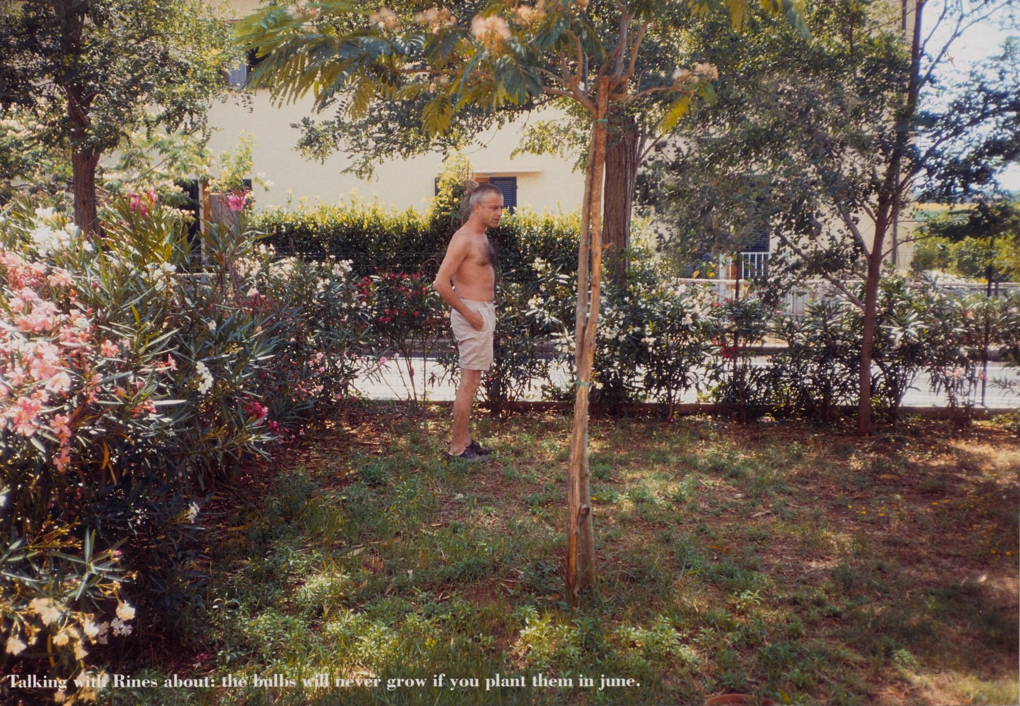 Massimo Bartolini - Talking With Rines About: The Bulbs Will Never Grow If You Plant Them In June