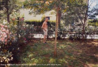 Massimo Bartolini - Talking With Rines About: The Bulbs Will Never Grow If You Plant Them In June