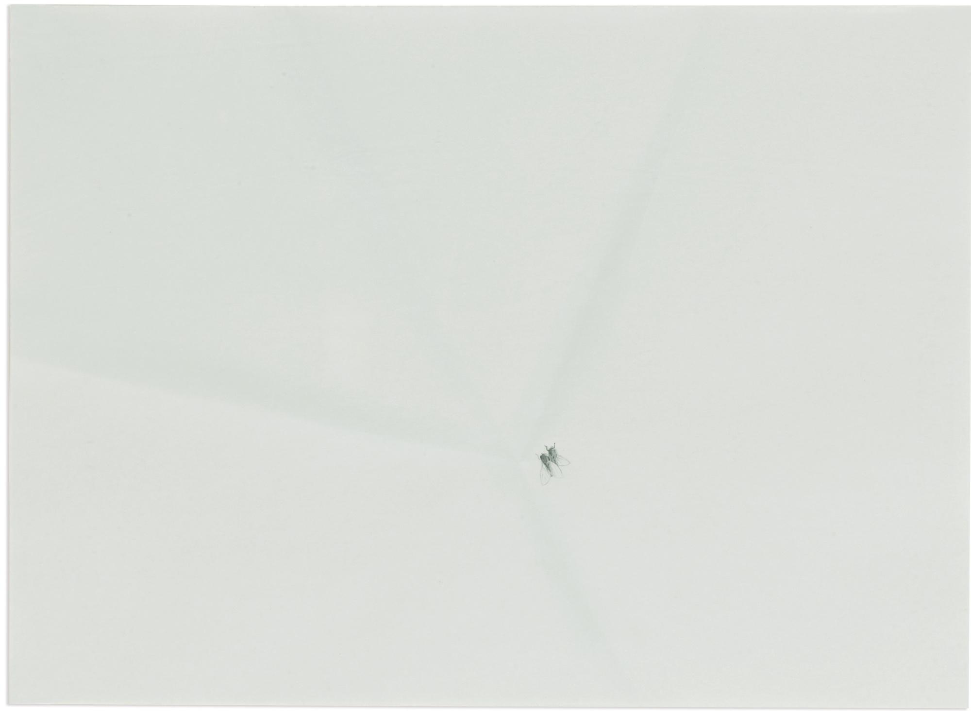 Massimo Bartolini - Untitled