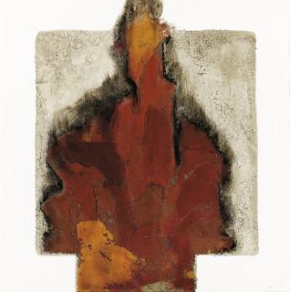 Massimo Soldati - Acropora