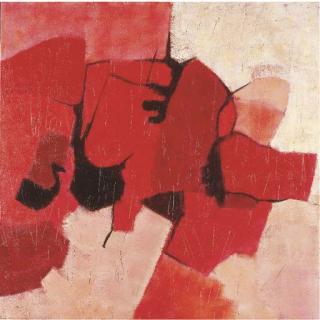 Massimo Soldati - Il rocciatore