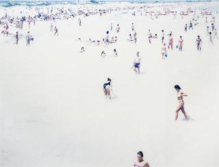 Massimo Vitali - Animalacci