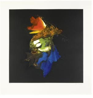Mat Collishaw - Insecticide 15