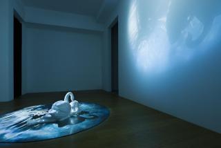 Mat Collishaw - Leda and the Swan