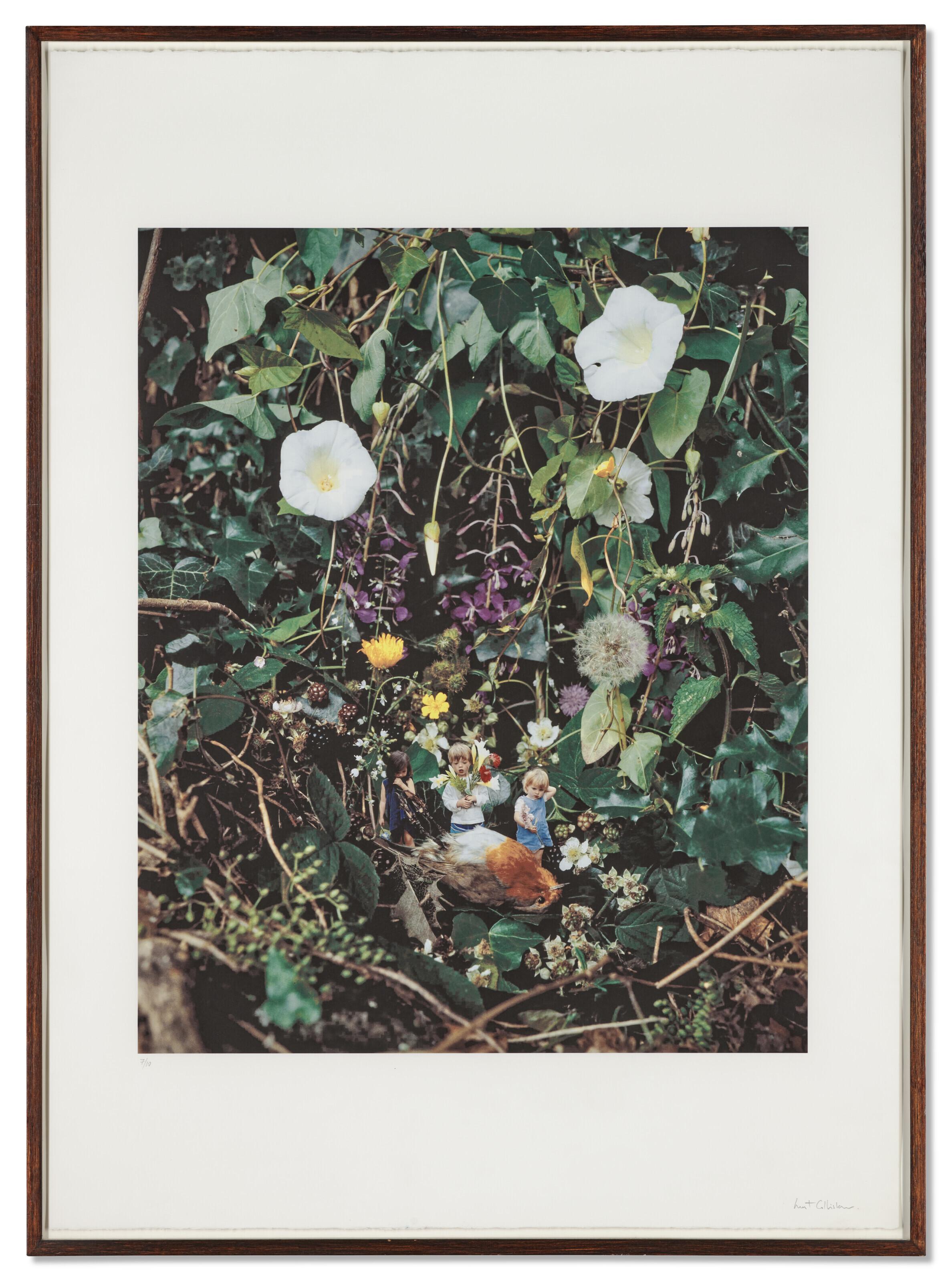 Mat Collishaw - Who Killed Cock Robin