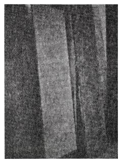 Matias Faldbakken - Book Scan 13