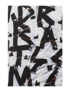 Matias Faldbakken - Untitled (Plastic Bag)