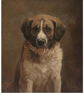 Matilda Lotz - A Faithful St. Bernard
