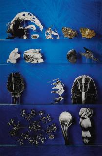 Matt Lipps - Tool (From Library)