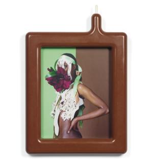 Matthew Barney - A Pele Da Lâmina