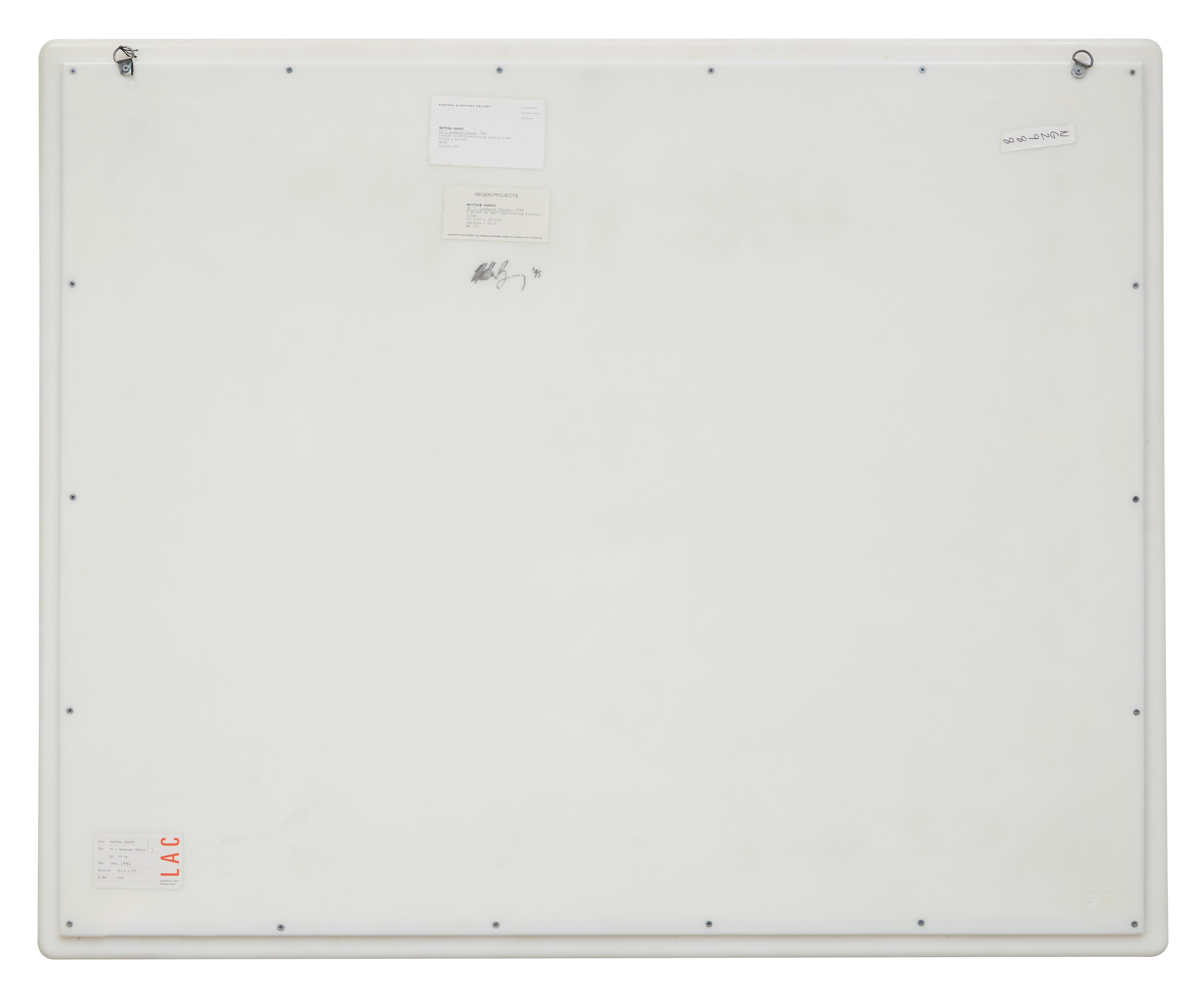 Matthew Barney - Cremaster 1: Goodyear Chorus