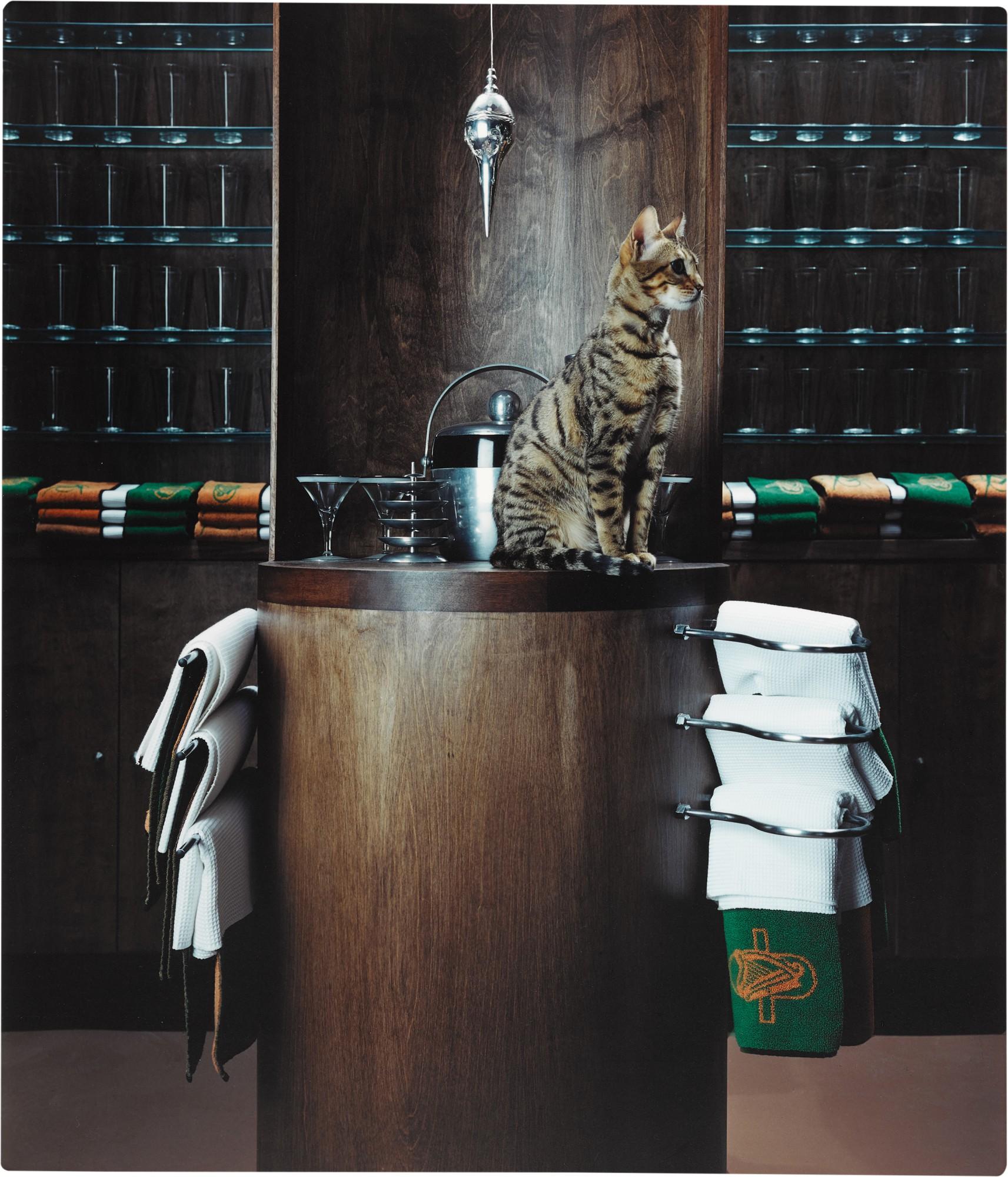 Matthew Barney - Cremaster 3: Plumb Line