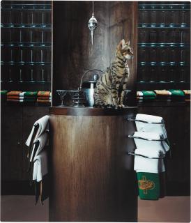 Matthew Barney - Cremaster 3: Plumb Line