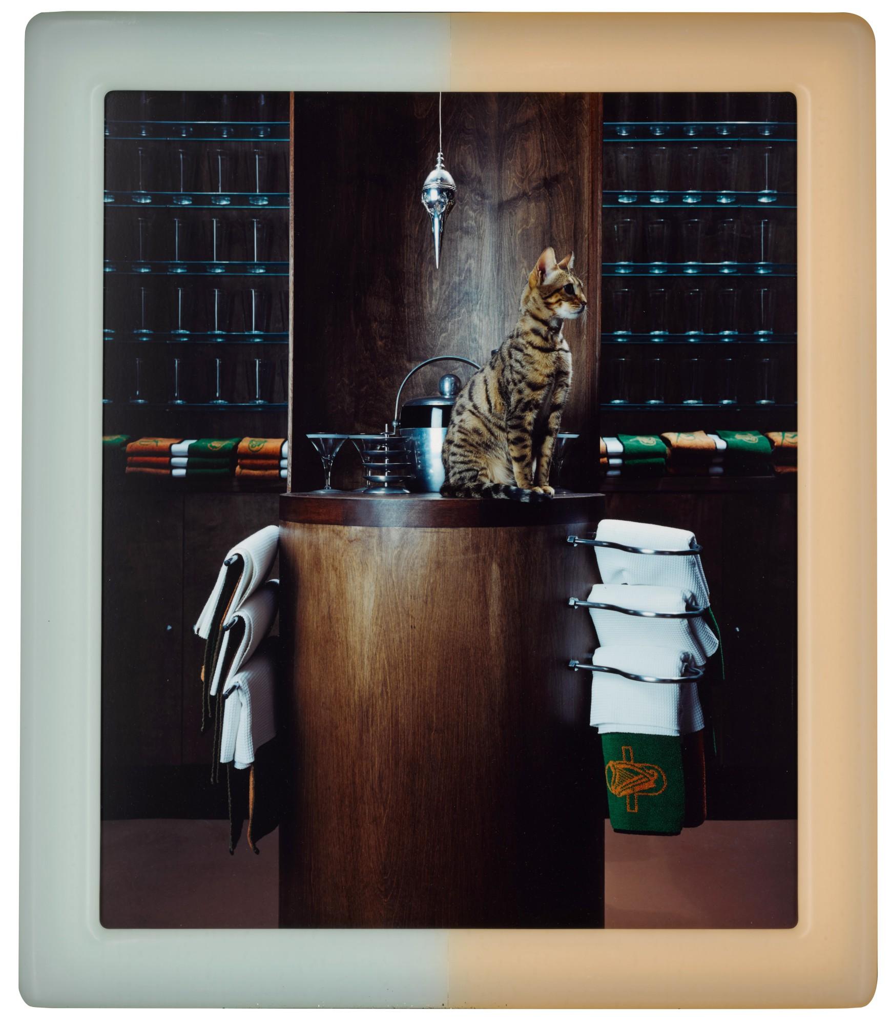 Matthew Barney - Cremaster 3: Plumb Line