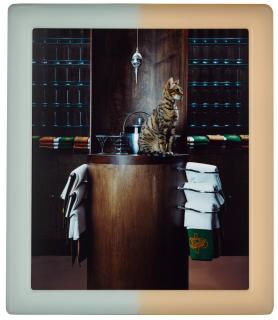 Matthew Barney - Cremaster 3: Plumb Line