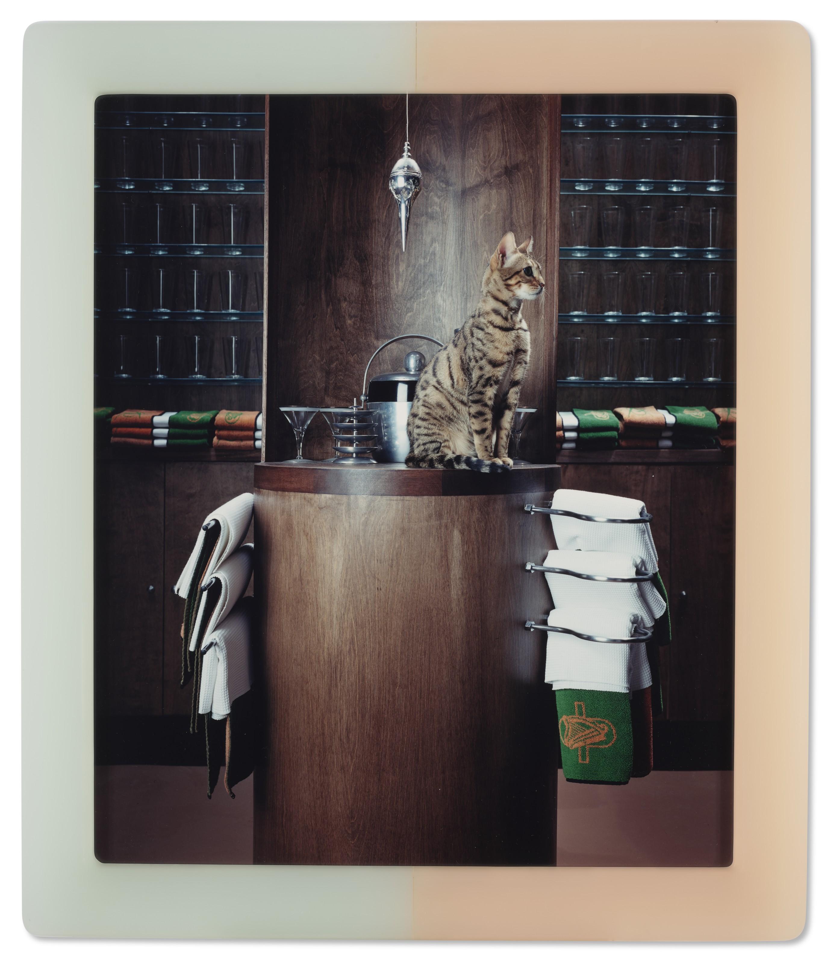 Matthew Barney - Cremaster 3: Plumb Line