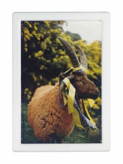 Matthew Barney - Cremaster 4: Loughton Ram