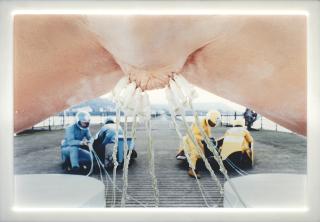 Matthew Barney - Cremaster 4: Three Legs of Man