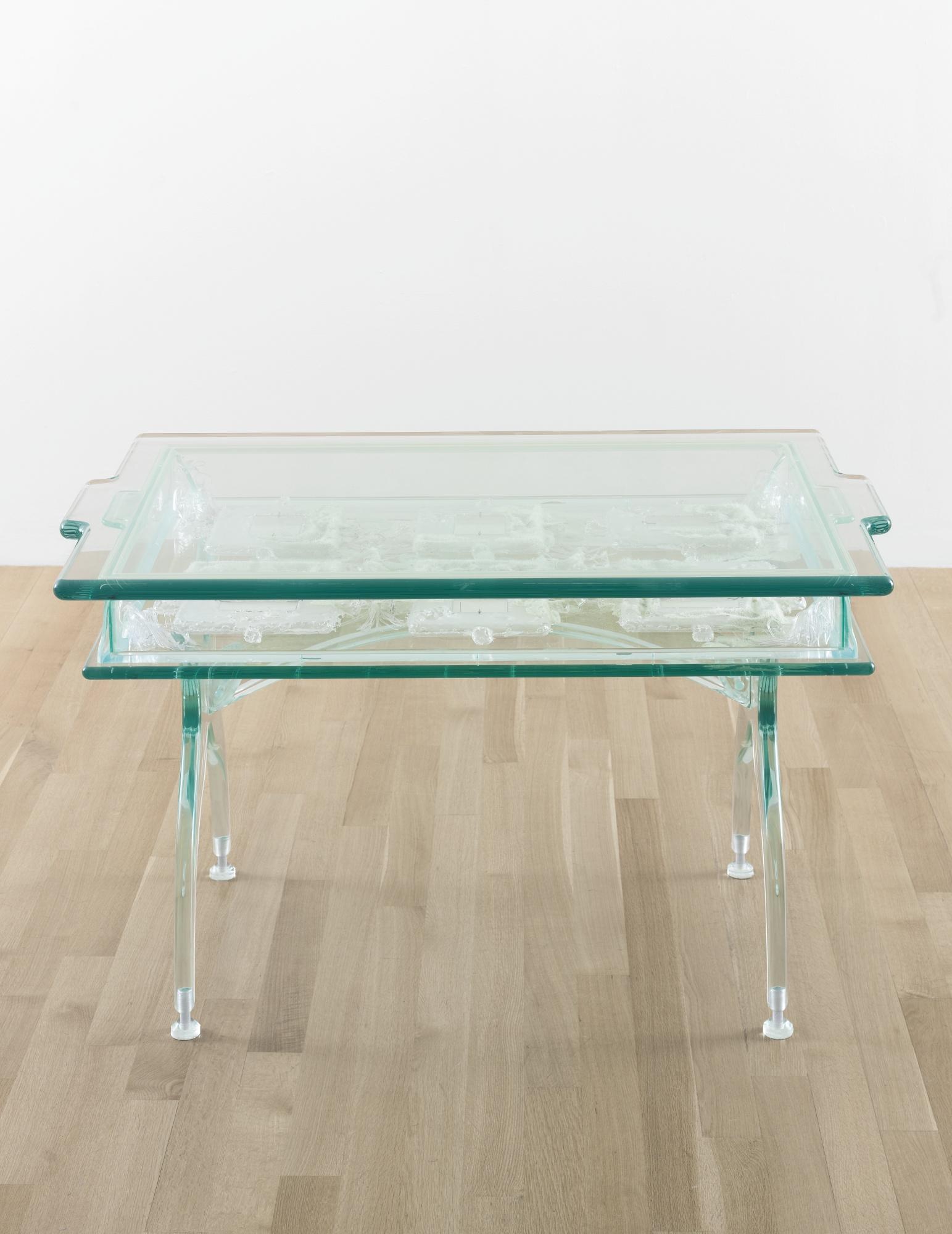 Matthew Barney - Drawing Restraint 8:  Condition 2003