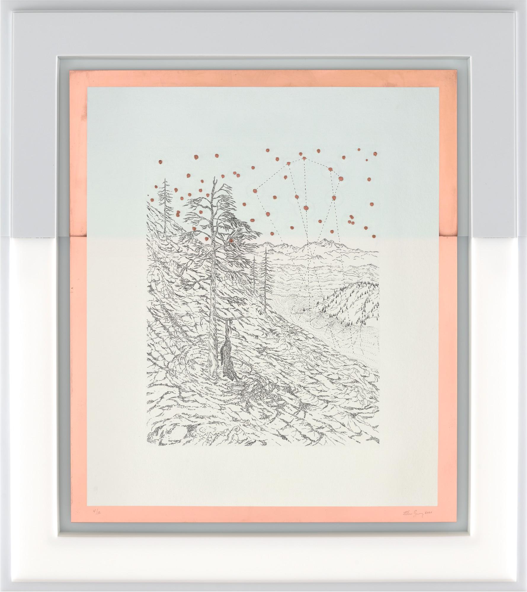 Matthew Barney - Lupus