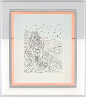 Matthew Barney - Lupus