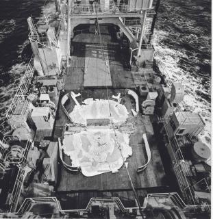 Matthew Barney - Nisshin Maru: one print