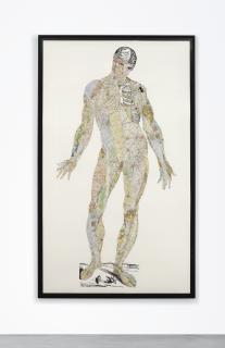 Matthew Day Jackson - Anatomical Drawing (Terra = Muscles)