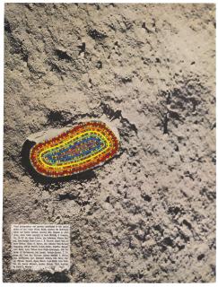 Matthew Day Jackson - Domestic Drawing (Life Moon Footprint)