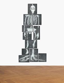 Matthew Day Jackson - Missing Link Ii (After Booster)