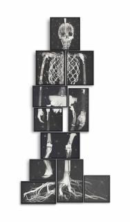 Matthew Day Jackson - Missing Link Ii (After Booster)