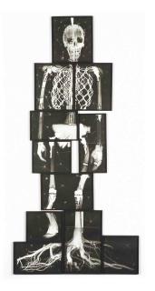 Matthew Day Jackson - Missing Link (X-Ray)