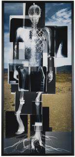 Matthew Day Jackson - Missing Link