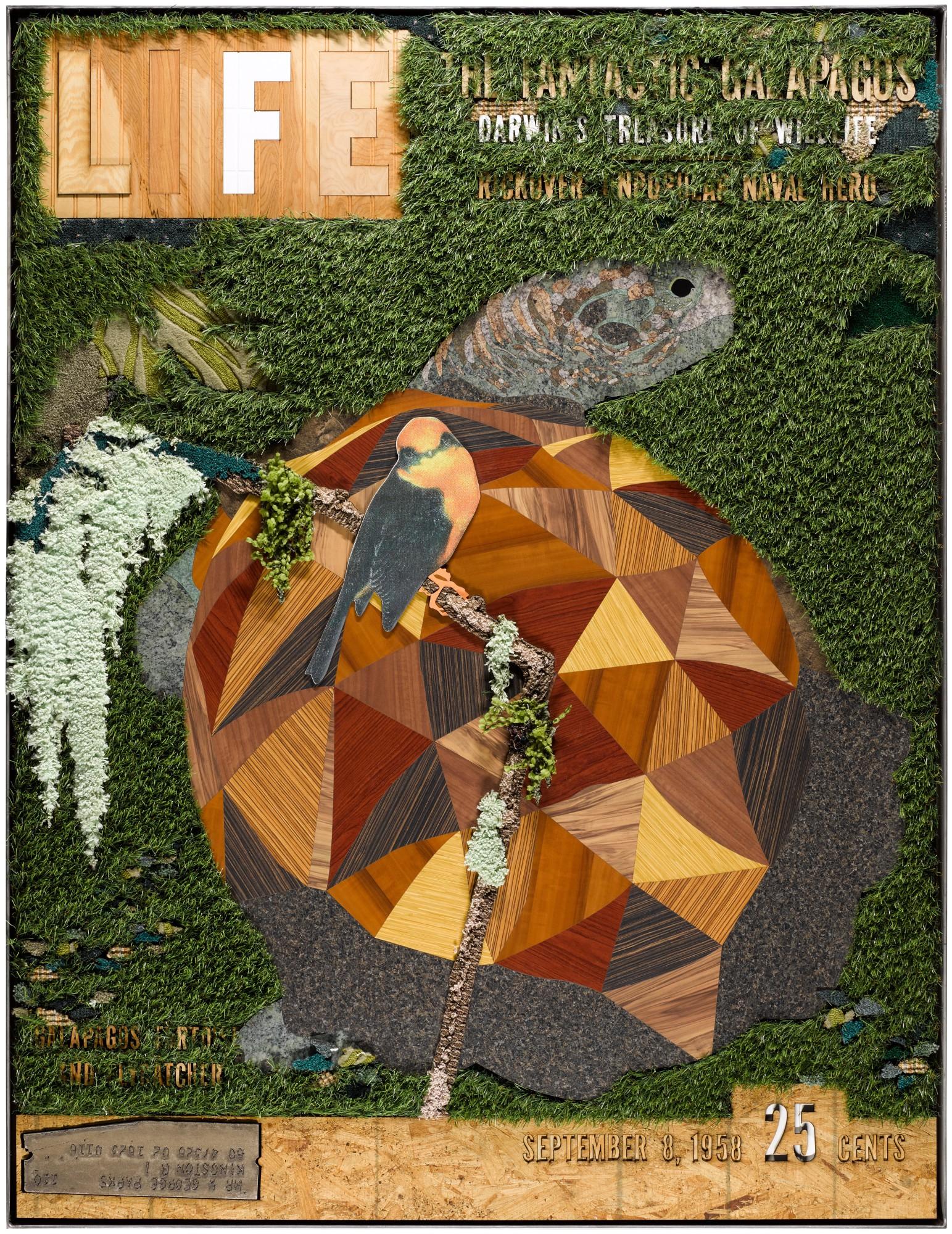 Matthew Day Jackson - September 8, 1958