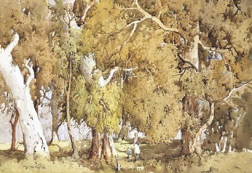 Matthew James Macnally - Sylvan Glade