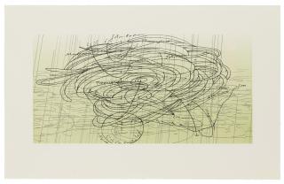 Matthew Ritchie - Sea State Five