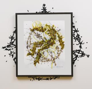 Matthew Ritchie - The Damned Iii And The Wheel