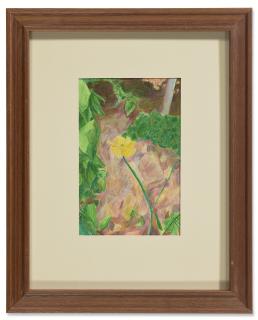 Matthew Shoup - Meadow Buttercup, Hudson Valley, Early Evening