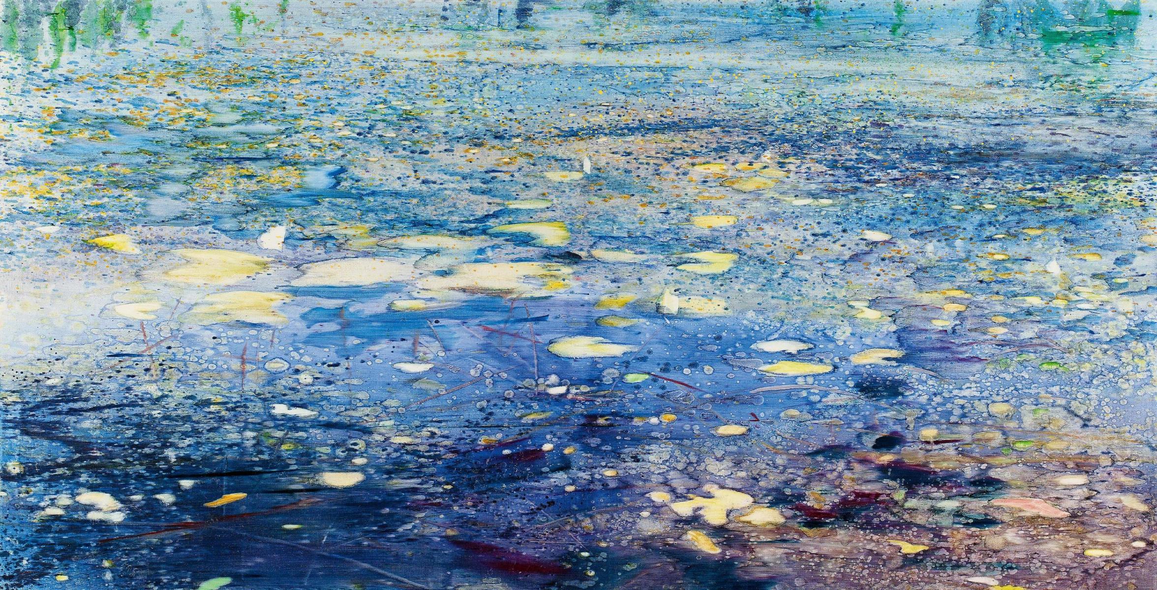 Matthias Meyer - Seerosen II