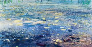 Matthias Meyer - Seerosen II