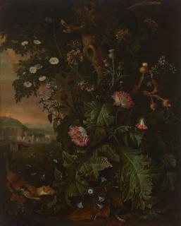 Matthias Withoos - A forest floor with a weasel, mouse, opium poppy and thistle, with classical buildings beyond