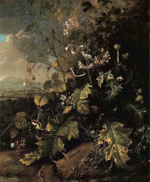 Matthias Withoos - A forest floor with butterflies and lizards